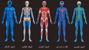 Screen Shot 2015-01-04 at 1.49.48 PM