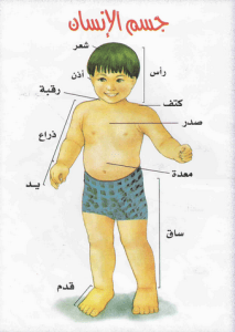 Screen Shot 2015-01-04 at 1.51.15 PM