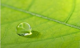 Berlaku-Ihsan-500x300